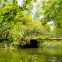 Brigde Over the Lake