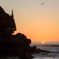 Late Afternoon at Porto Novo