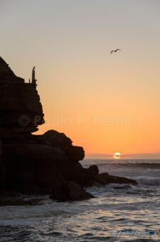 Late Afternoon at Porto Novo