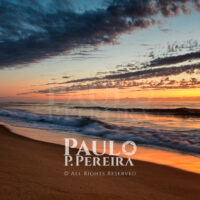 Capturing the perfect moment