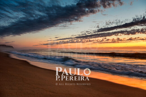 Capturing the perfect moment