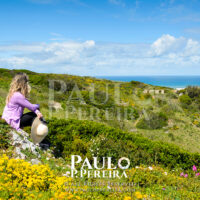Countryside next to the beach