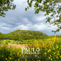 Solstício de Verão