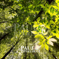 Ascension - Serra de Montejunto