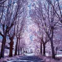 Infrared view of Fonte dos Frades