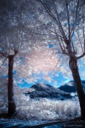 A ilusão da cor A ilusão da cor