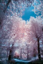 Awen Gates Awen Gates