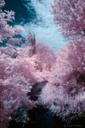 Heaven Places Heaven Places