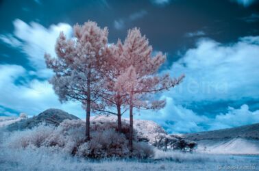 Otherworld Otherworld