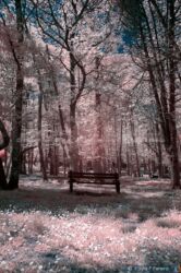 Secret Place Secret Place