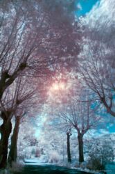 Visions of Eden Visions of Eden