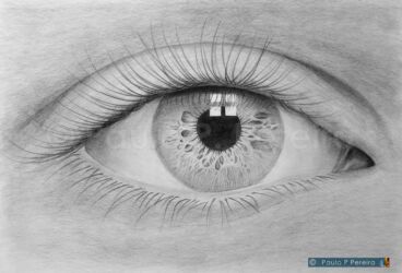 Eye - Graphite drawing