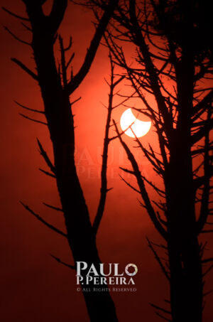 Eclipse Solar | Solar Eclipse | 2015 | Portugal