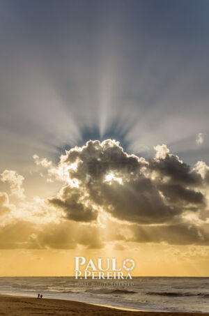 Iluminado | Illuminated