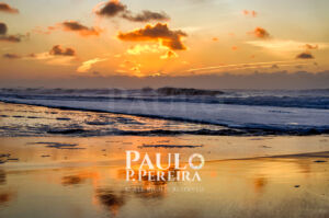 Reflexões Douradas | Golden Reflections