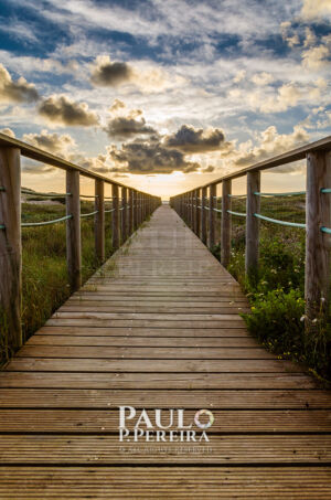 Caminho para a Luz | Path to the Light | Praia de Santa Rita, Torres Vedras, Portugal