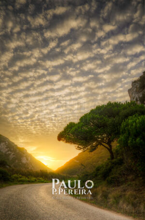 Serendipidade | Serendipity | Maceira, Torres Vedras, Portugal