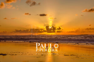 Pôr do Sol Dourado | Golden Sunset