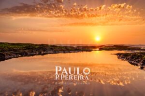 Projeção de Luz | Projection of Light