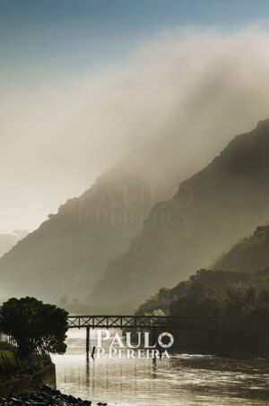 Neblinas no Rio | Mists in the River | Alcabrichel, Porto Novo, Torres Vedras, Portugal