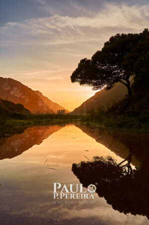 Pôr do Sol Cintilante | Glistening Sunset | Rio Alcabrichel, Torres Vedras, Portugal