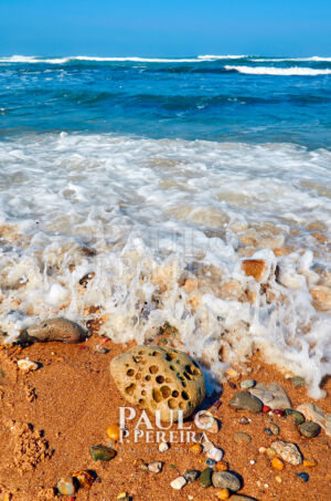 Pedras da Praia | Beach Stones