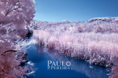Infrared photography Infrared photography | Fotografia de Infravermelhos