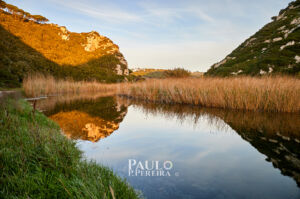 Espelhado | Mirrored | Rio Alcabrichel, Torres Vedras, Portugal