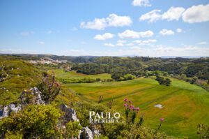 Maceira, Torres Vedras, Portugal