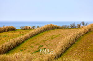 Passeios pelo campo junto à praia | Country walks by the beach