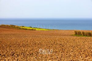 Campo e Mar | Countryside and Sea