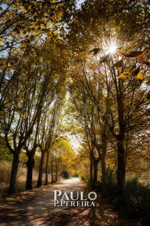 Equinócio de Outono | Autumn Equinox