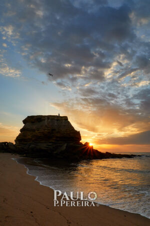 Final do Dia | End of the Day | Porto Novo, Torres Vedras, Portugal