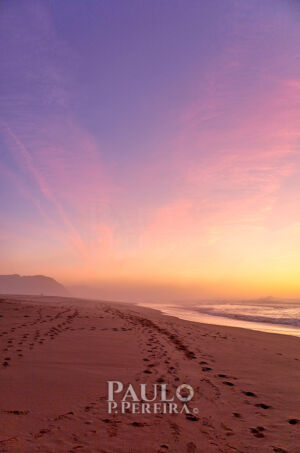 Purple Sky | Purple Sky