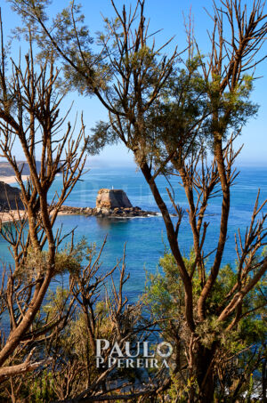 Campo e Praia | Countryside and Beach | Porto Novo, Torres Vedras, Portugal